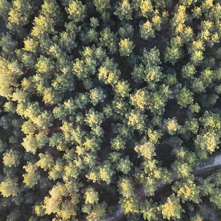 La Maison De La Prade 3* Messanges