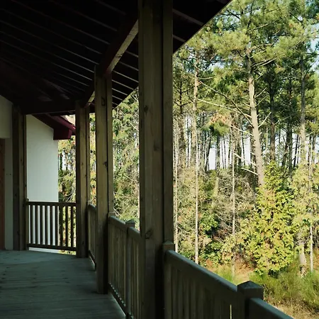 La Maison De La Prade Messanges (Landes)