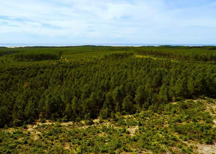 La Maison De La Prade Отель Мессанж