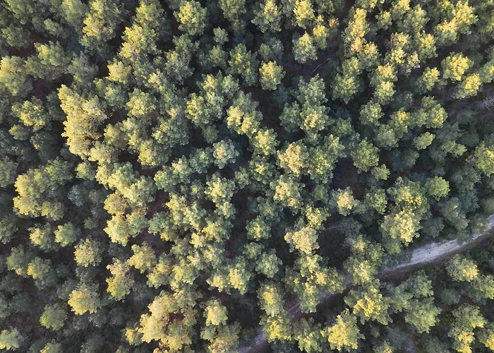 La Maison De La Prade 3* Messanges (Landes)